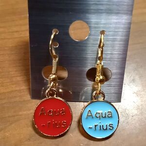 Horoscope Aquarius earrings